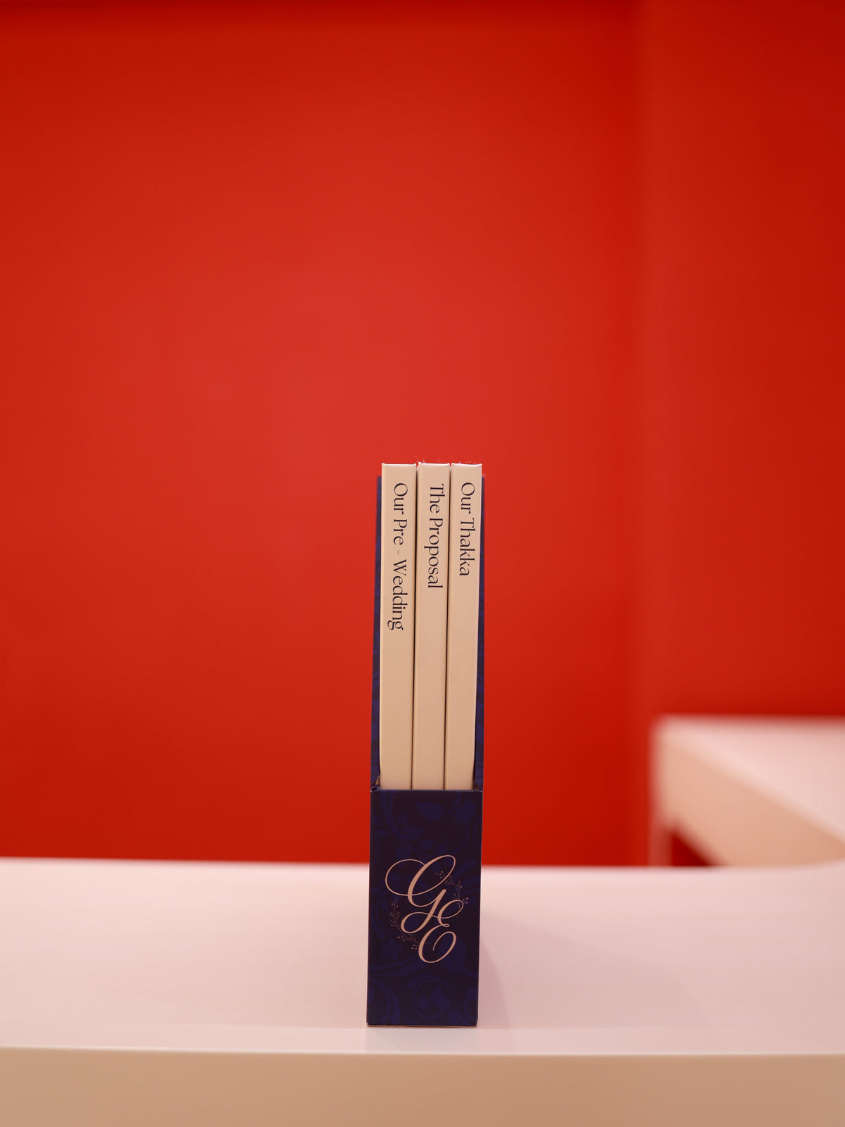 Etasha and Gurjeet's Wedding Storybox
