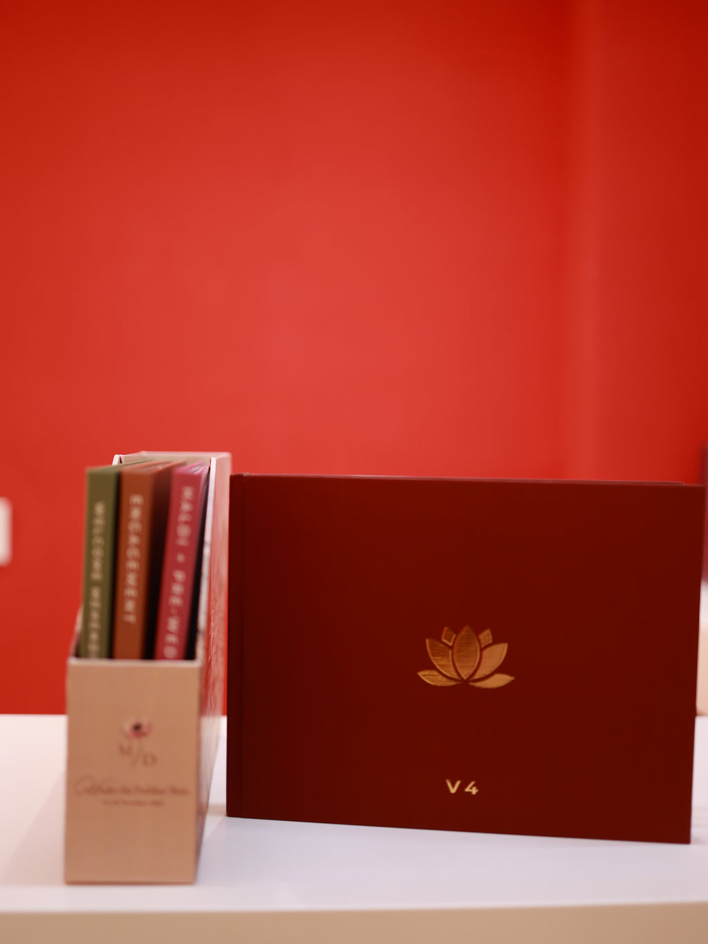 Devyani and Mudit's Wedding Storybox