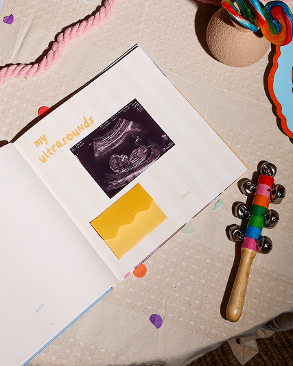 The Baby Steps Journal